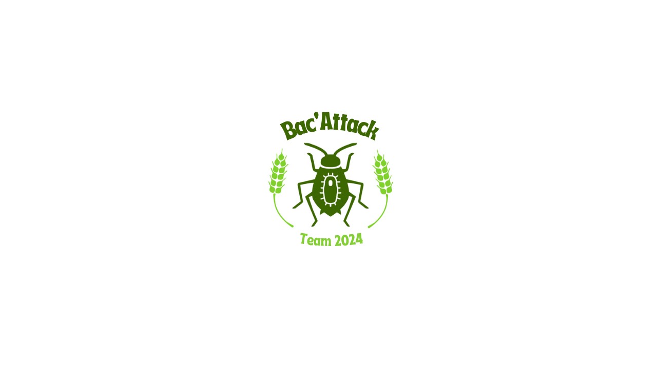 iGEM Team 2024 Bac’attack project LISM